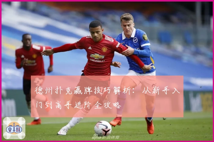 德州扑克赢牌技巧解析：从新手入门到高手进阶全攻略