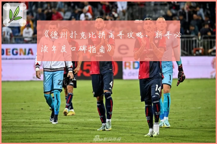 《德州扑克比拼高手攻略，新手必读年度口碑指南》