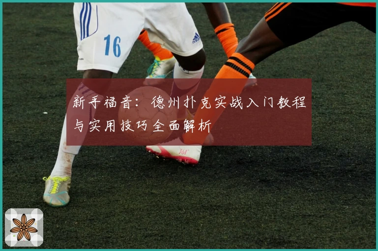 新手福音：德州扑克实战入门教程与实用技巧全面解析