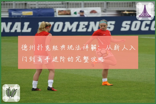 德州扑克经典玩法详解：从新人入门到高手进阶的完整攻略