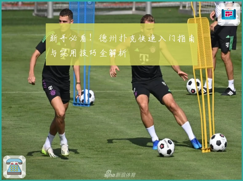 新手必看！德州扑克快速入门指南与实用技巧全解析